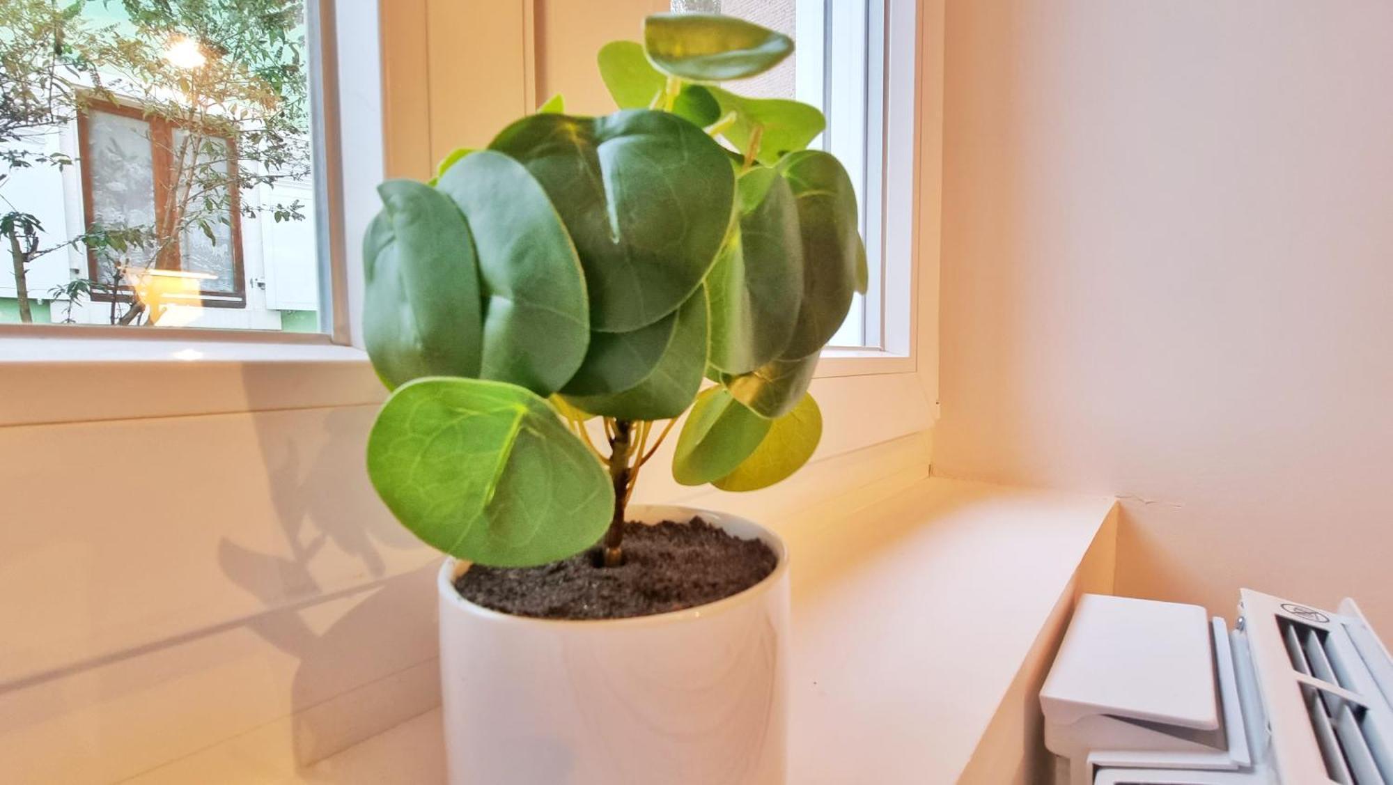 La Buhl Verte - Chic Et Moderne - Calme - Fibre - Relax Bnb Exterior foto